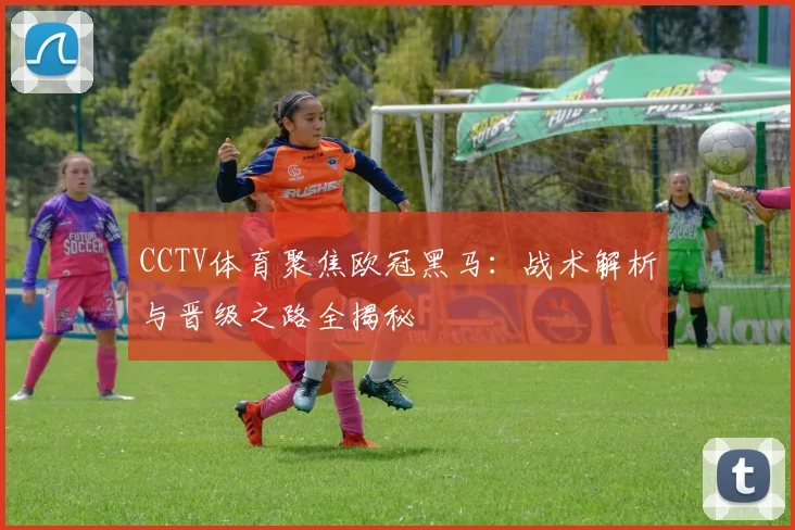CCTV体育聚焦欧冠黑马：战术解析与晋级之路全揭秘