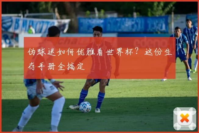 伪球迷如何优雅看世界杯?这份生存手册全搞定