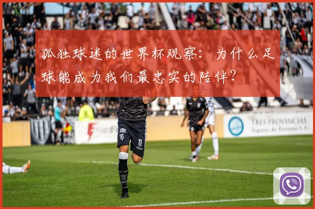 孤独球迷的世界杯观察：为什么足球能成为我们最忠实的陪伴？