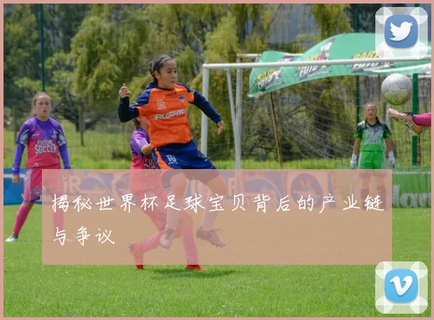 揭秘世界杯足球宝贝背后的产业链与争议