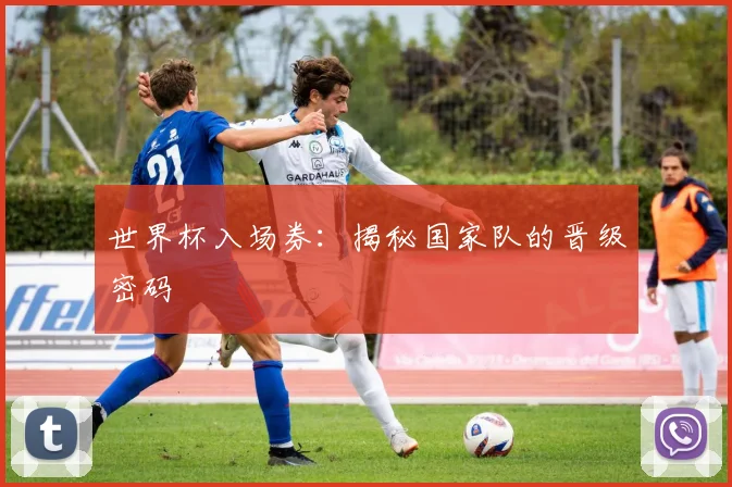 世界杯入场券：揭秘国家队的晋级密码