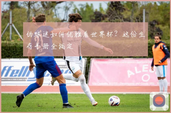 伪球迷如何优雅看世界杯?这份生存手册全搞定