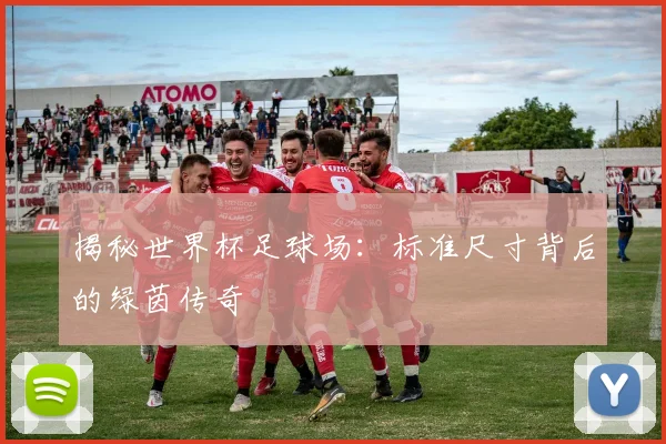 揭秘世界杯足球场：标准尺寸背后的绿茵传奇