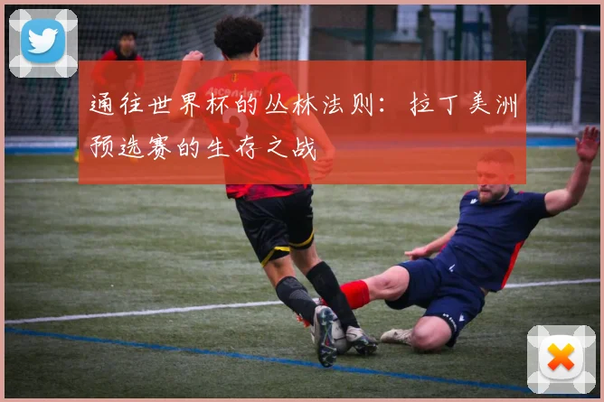 通往世界杯的丛林法则：拉丁美洲预选赛的生存之战